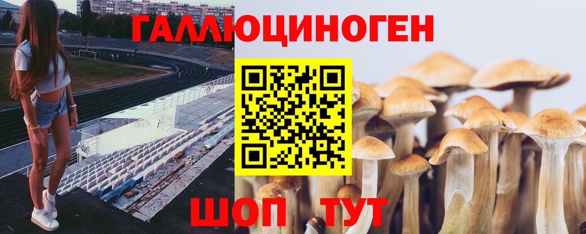 Псилоцибиновые грибы ЛСД  Псилоцибиновые грибы Psilocybine cubensis  Великий Новгород  Вход с VPN 